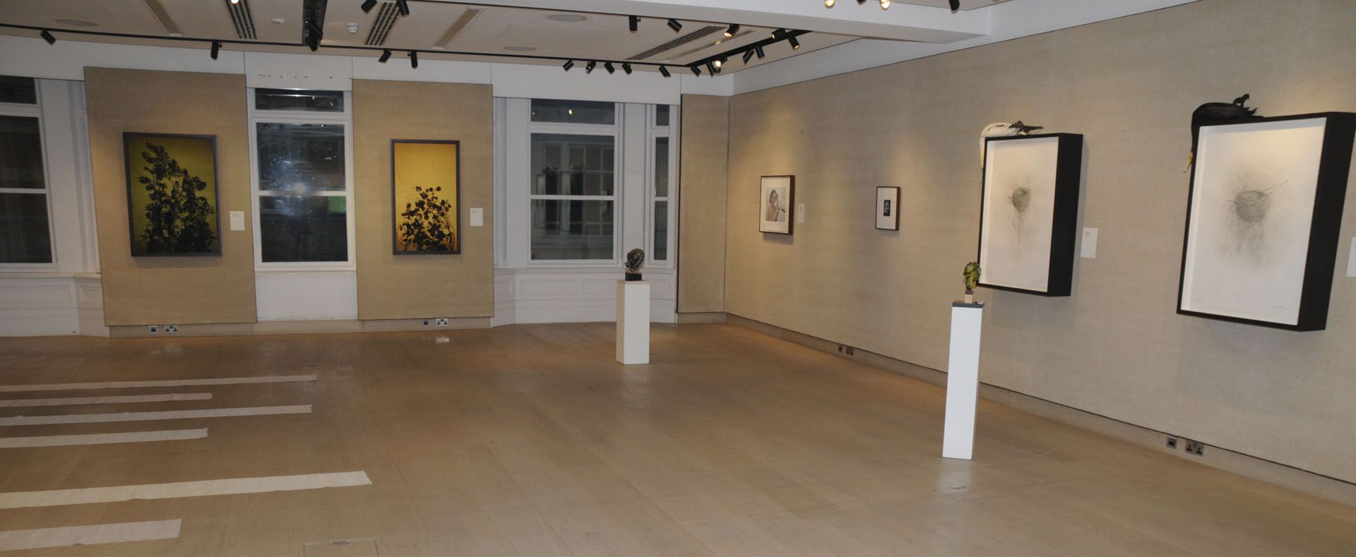 Organic Matters installation view