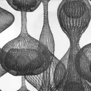 Private Tour: Ruth Asawa at Modern Art Oxford