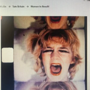 Friends booking:  Curator led tour and Private View of "Women in Revolt! Art and Activism in the UK 1970-1990"