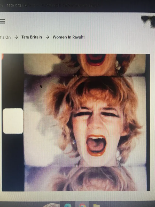 Friends booking:  Curator led tour and Private View of "Women in Revolt! Art and Activism in the UK 1970-1990"